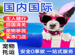 柳州航空托运国际宠物托运 【国